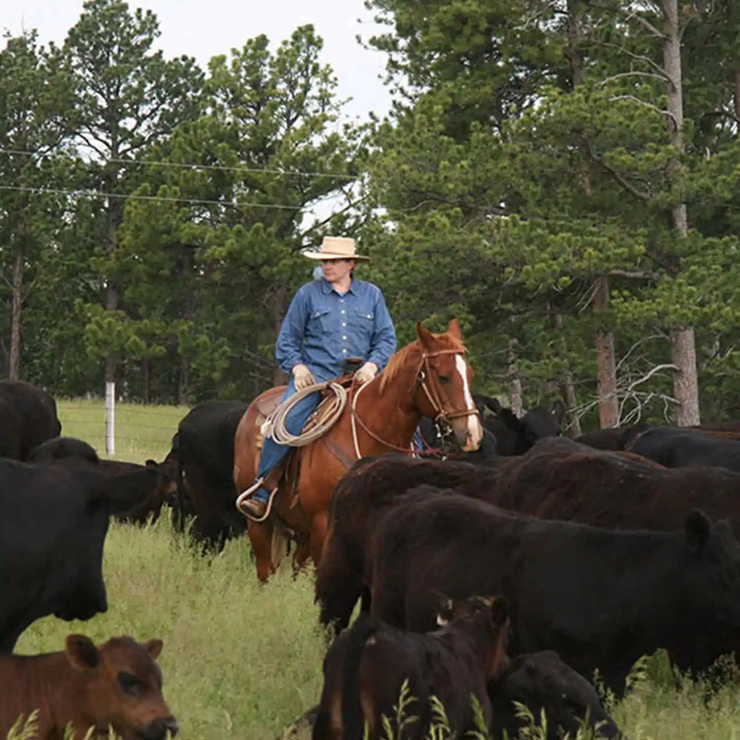 Wyoming Land Brokers Arnold Realty Newcastle, WY