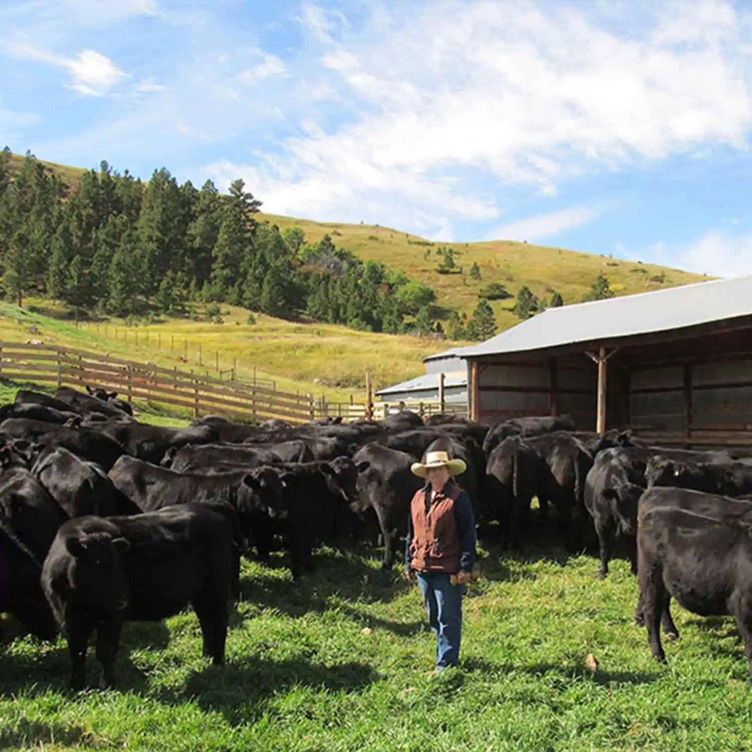 Wyoming Land Brokers Arnold Realty Newcastle, WY