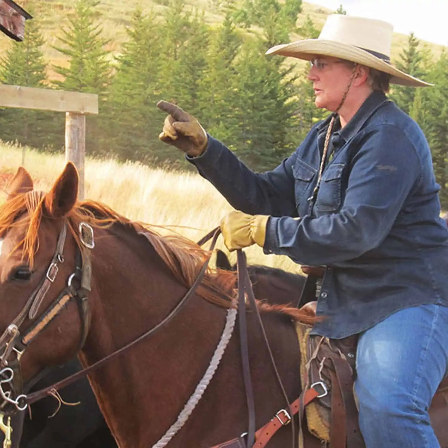 Wyoming Land Brokers Arnold Realty Newcastle, WY