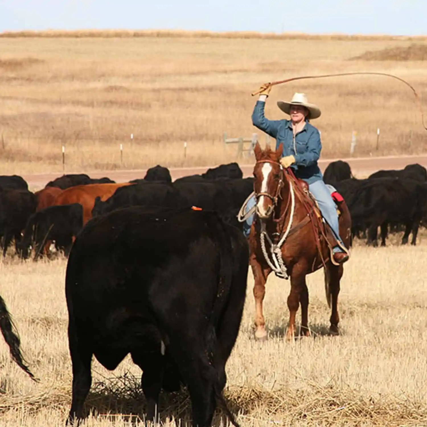 Wyoming Land Brokers Arnold Realty Newcastle, WY