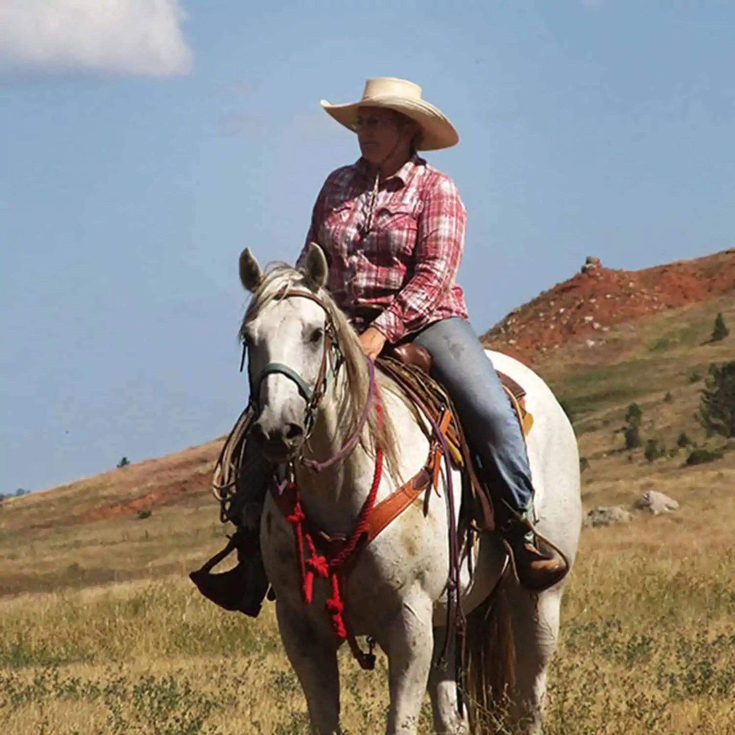 Wyoming Land Brokers Arnold Realty Newcastle, WY