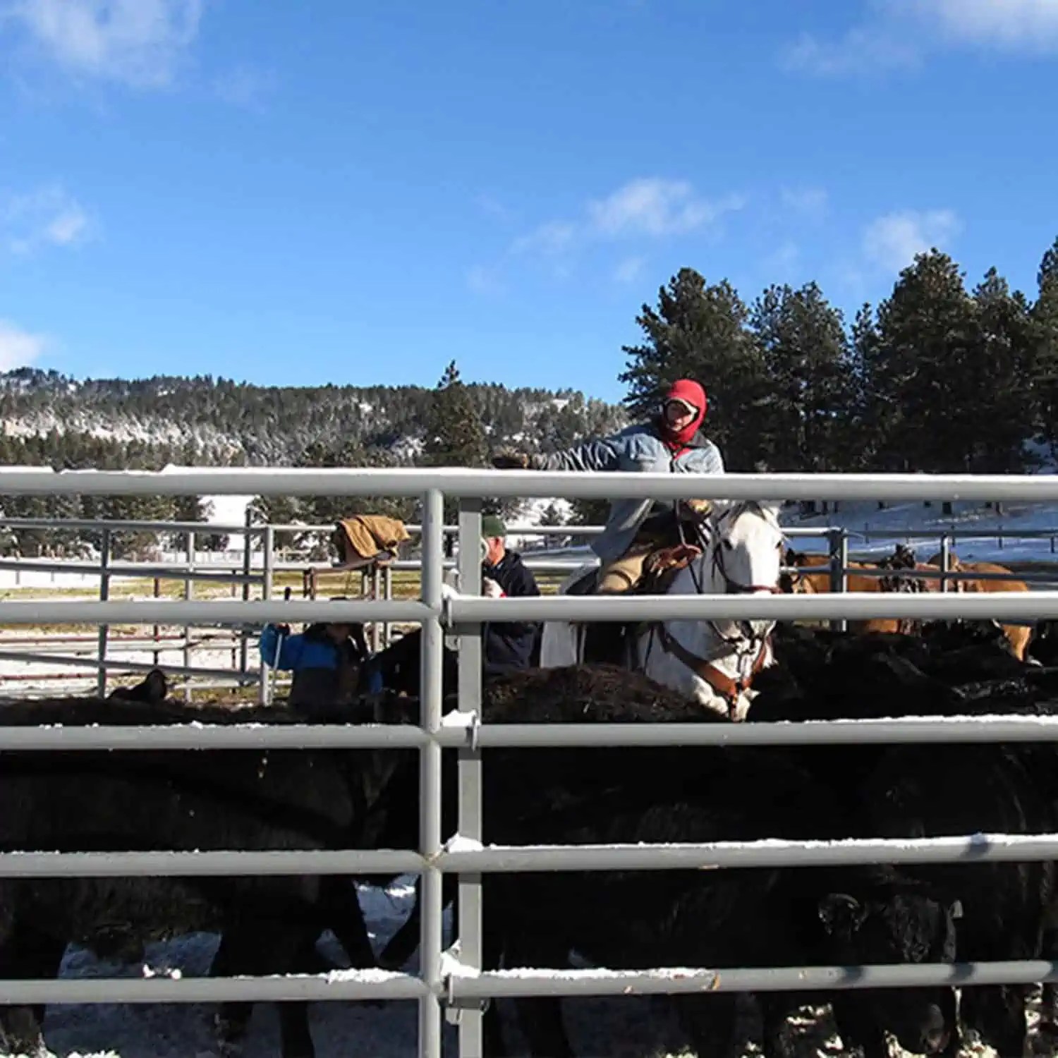 Wyoming Land Brokers Arnold Realty Newcastle, WY