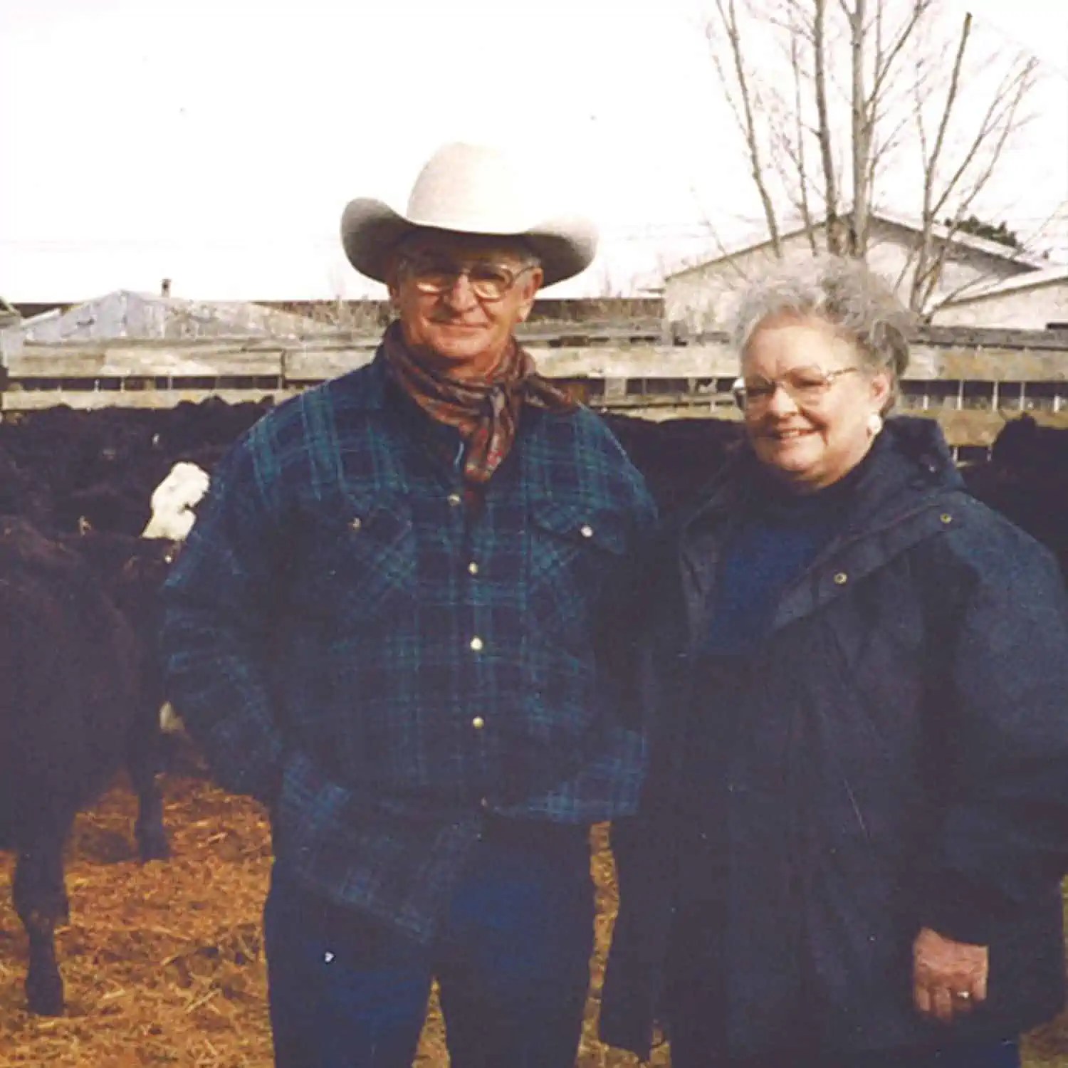 Wyoming Land Brokers Arnold Realty Newcastle, WY