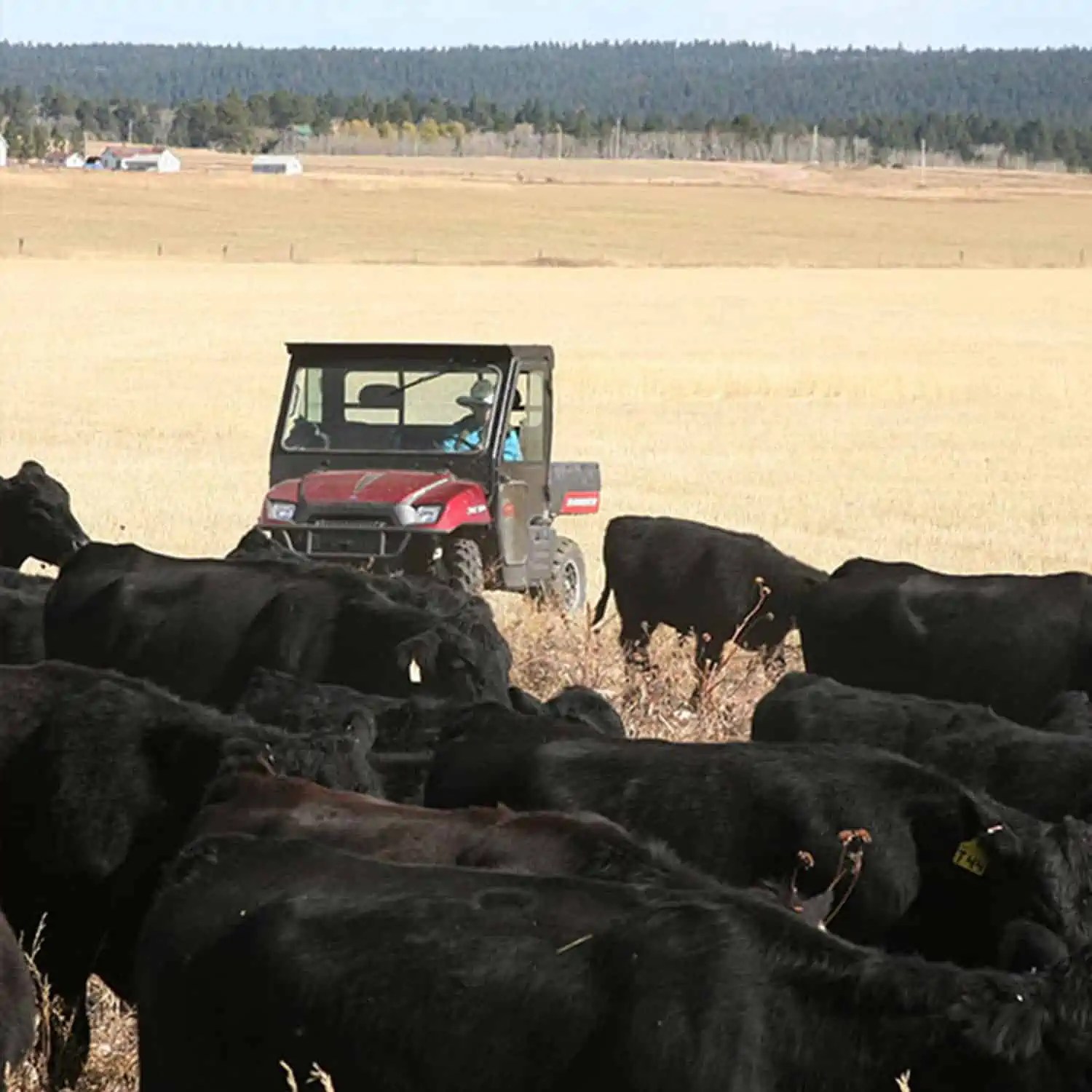 Wyoming Land Brokers Arnold Realty Newcastle, WY