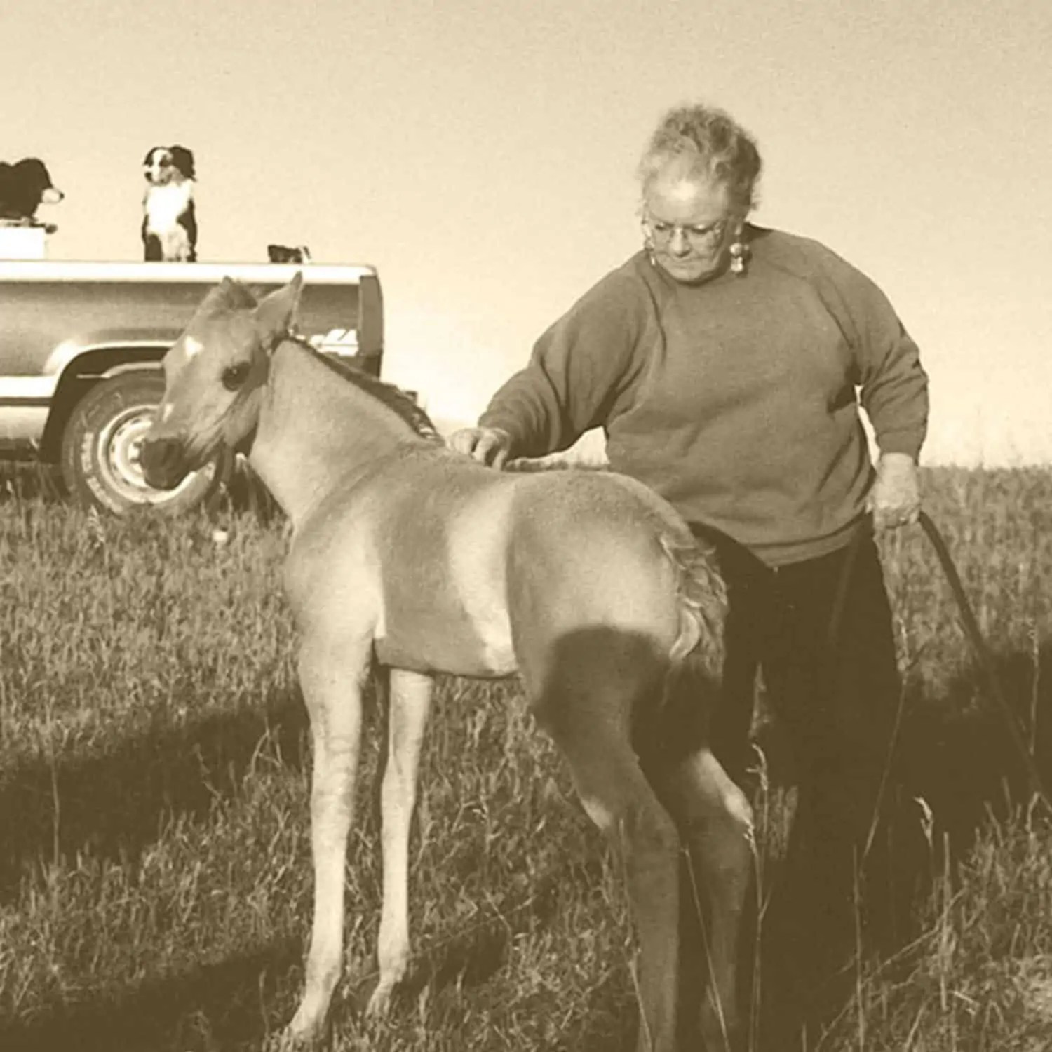 Wyoming Land Brokers Arnold Realty Newcastle, WY