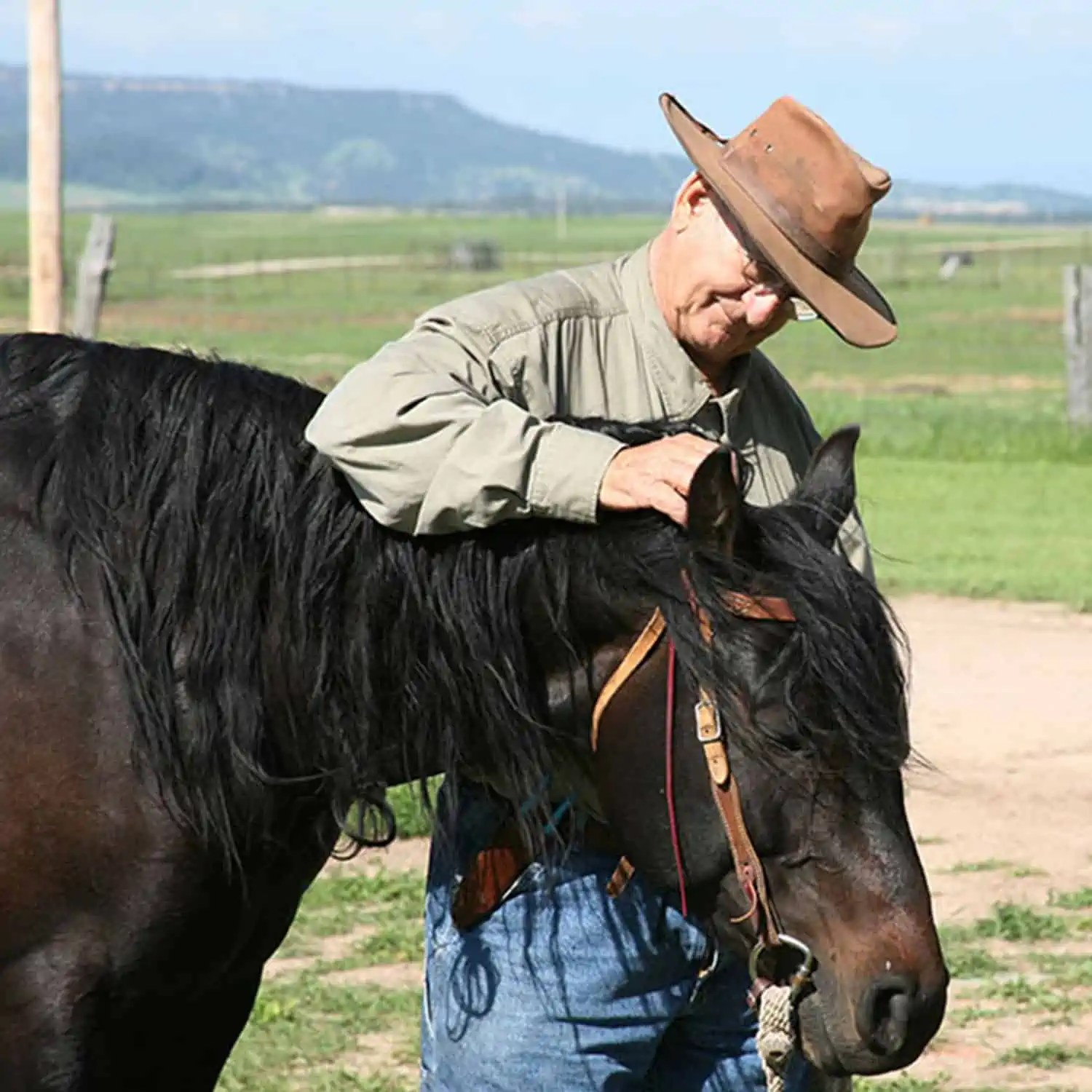 Wyoming Land Brokers Arnold Realty Newcastle, WY
