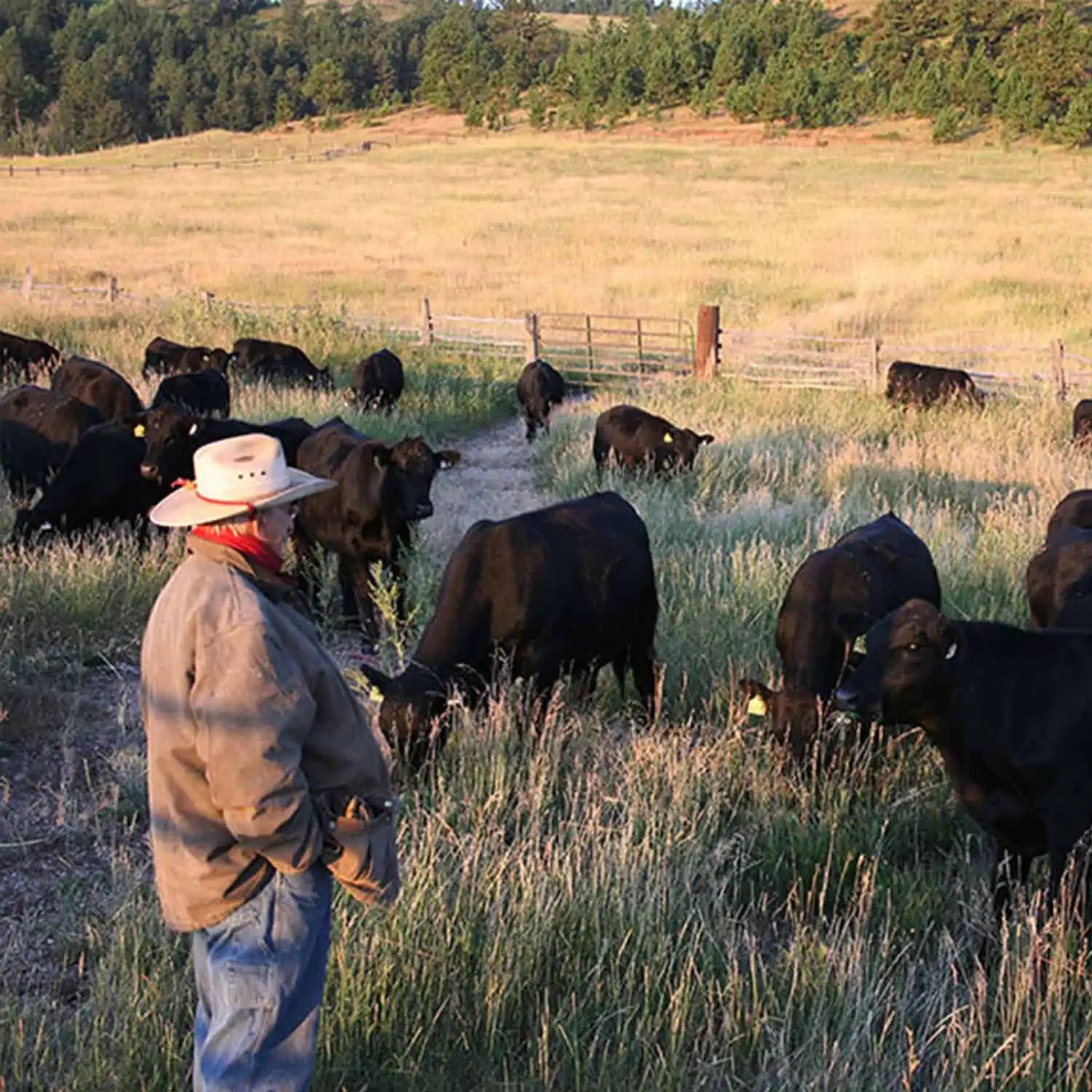Wyoming Land Brokers Arnold Realty Newcastle, WY