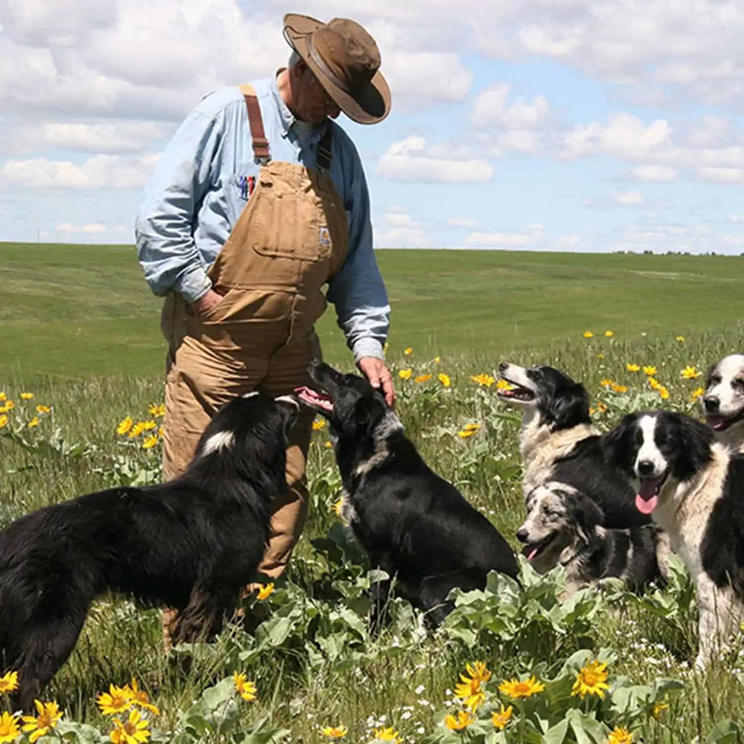Wyoming Land Brokers Arnold Realty Newcastle, WY