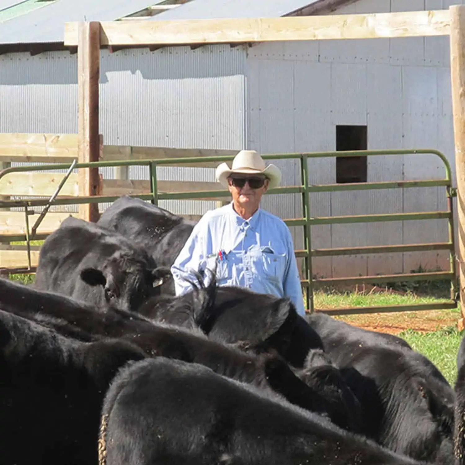 Wyoming Land Brokers Arnold Realty Newcastle, WY