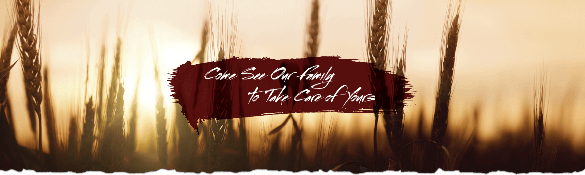 Nebraska Insurance Agents Arnold Insurance Agency