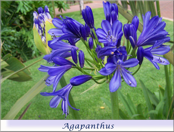 301 Moved Permanently