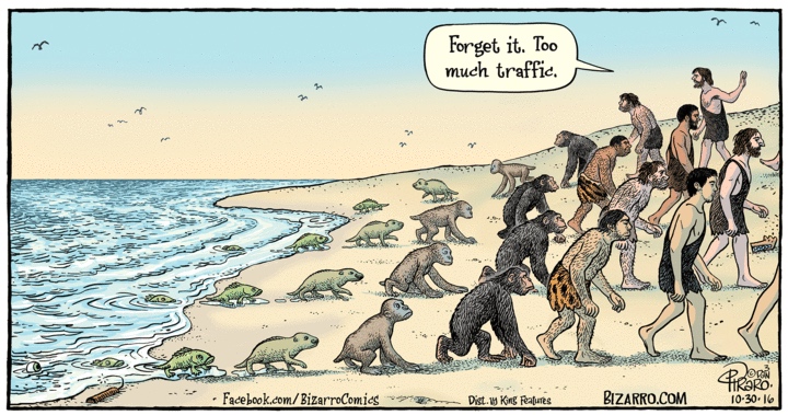 Evolution Arnold Zwicky's Blog