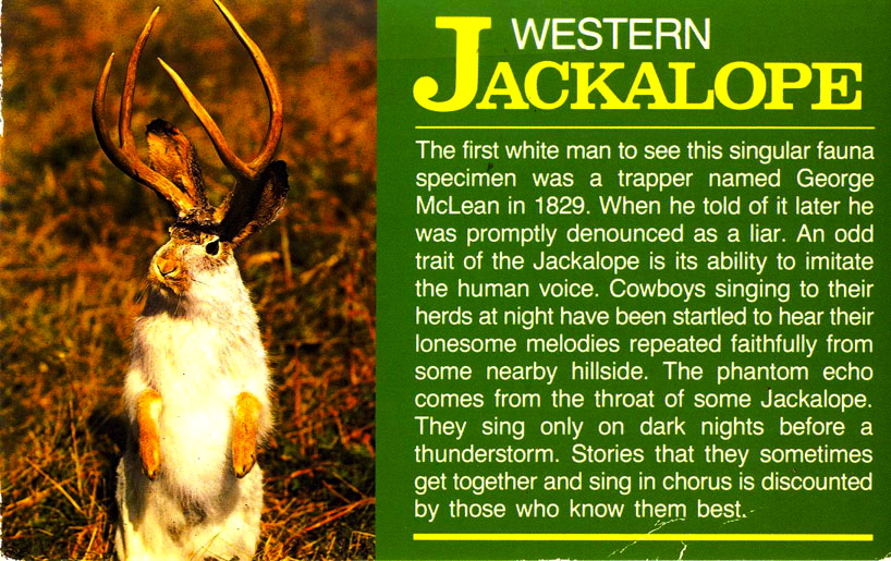 Penguin cartoons Arnold Zwicky's Blog