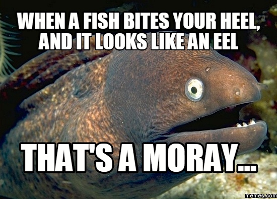 That’s a moray Arnold Zwicky's Blog