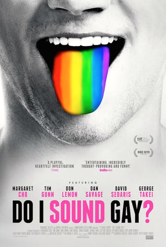 Do I Sound Gay? The poster Arnold Zwicky's Blog