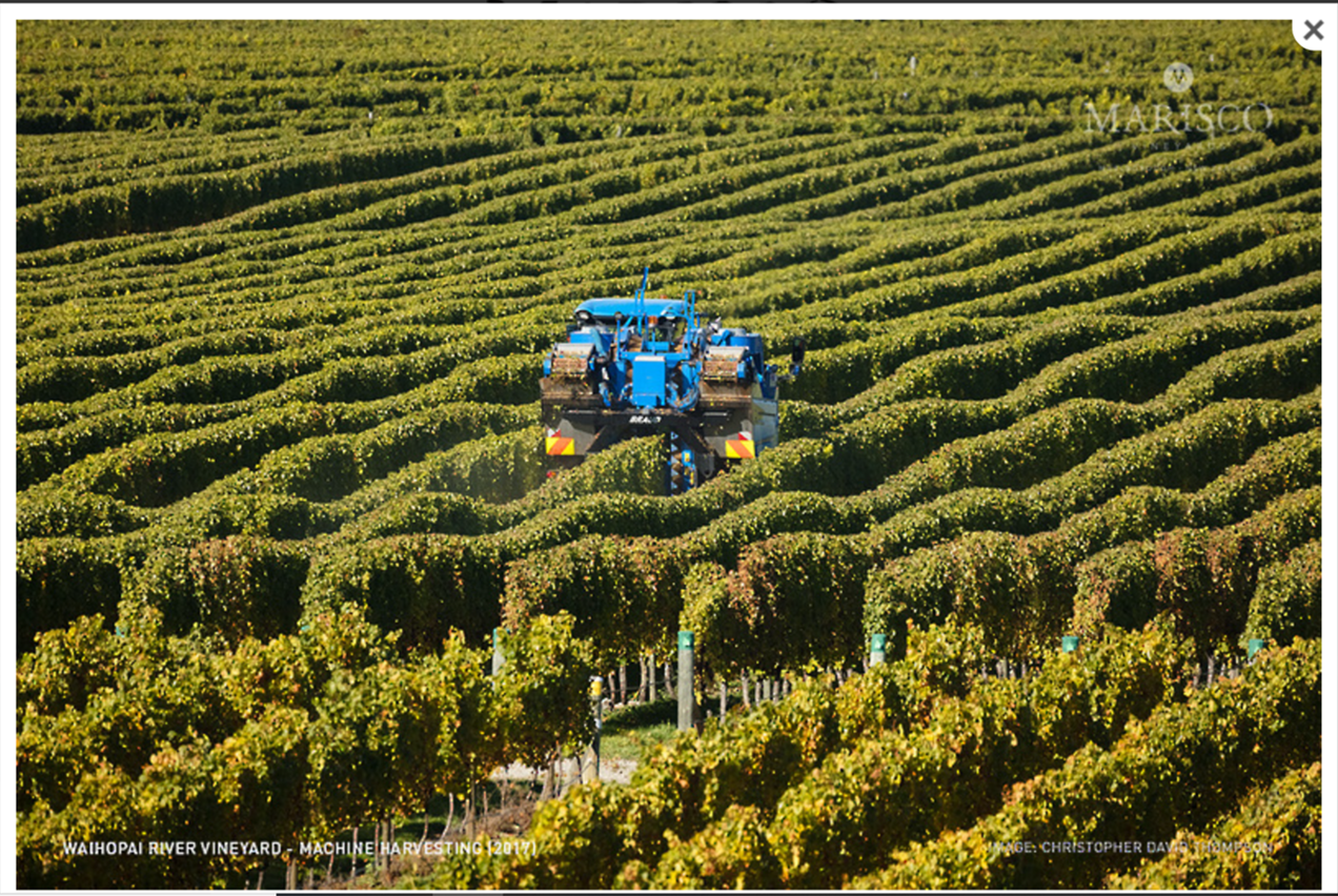 Award Winning New Zealand Wine Aroha Iberica