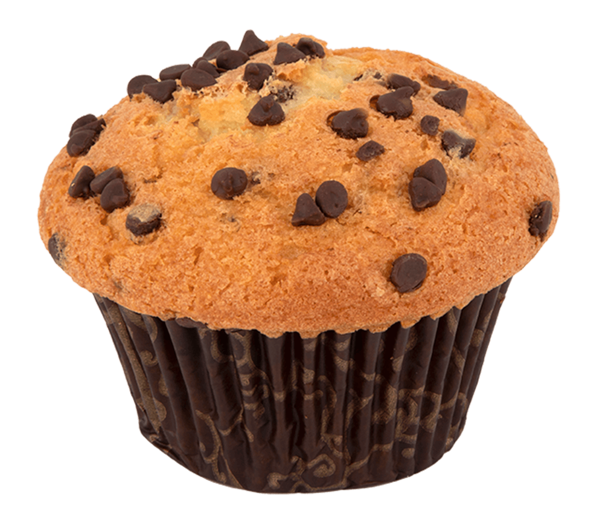 Chocolate Chip Muffin Aroma Joe's