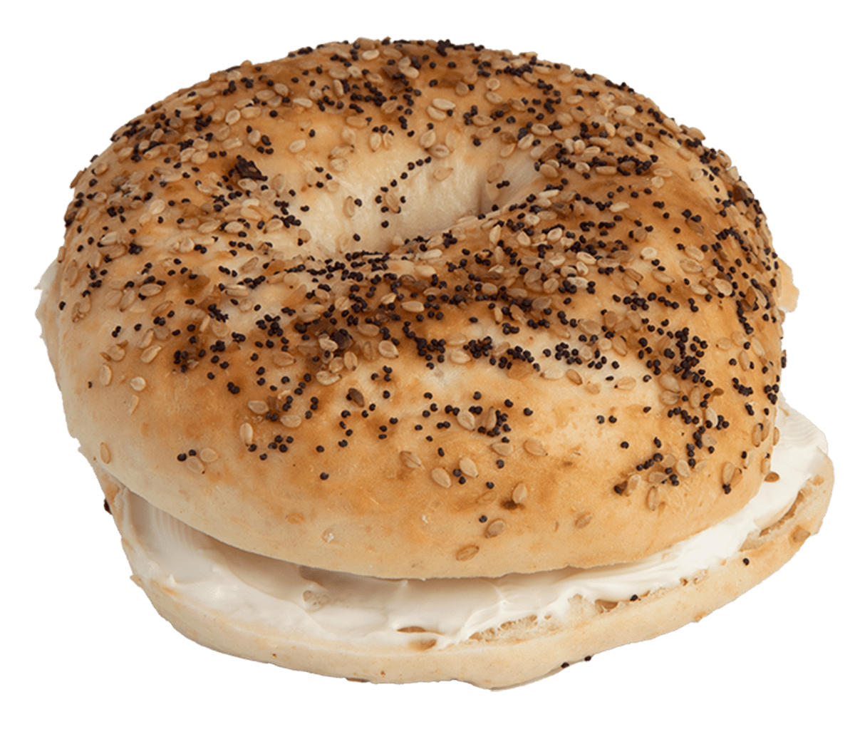 Everything Bagel Aroma Joe's