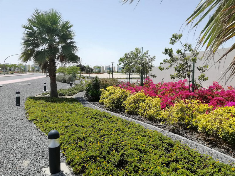 AROMA GARDEN Gardening and Landscaping in Bahrain
