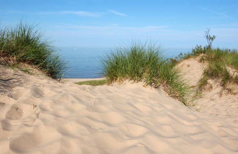 Sand Dunes « aromaticcoffees