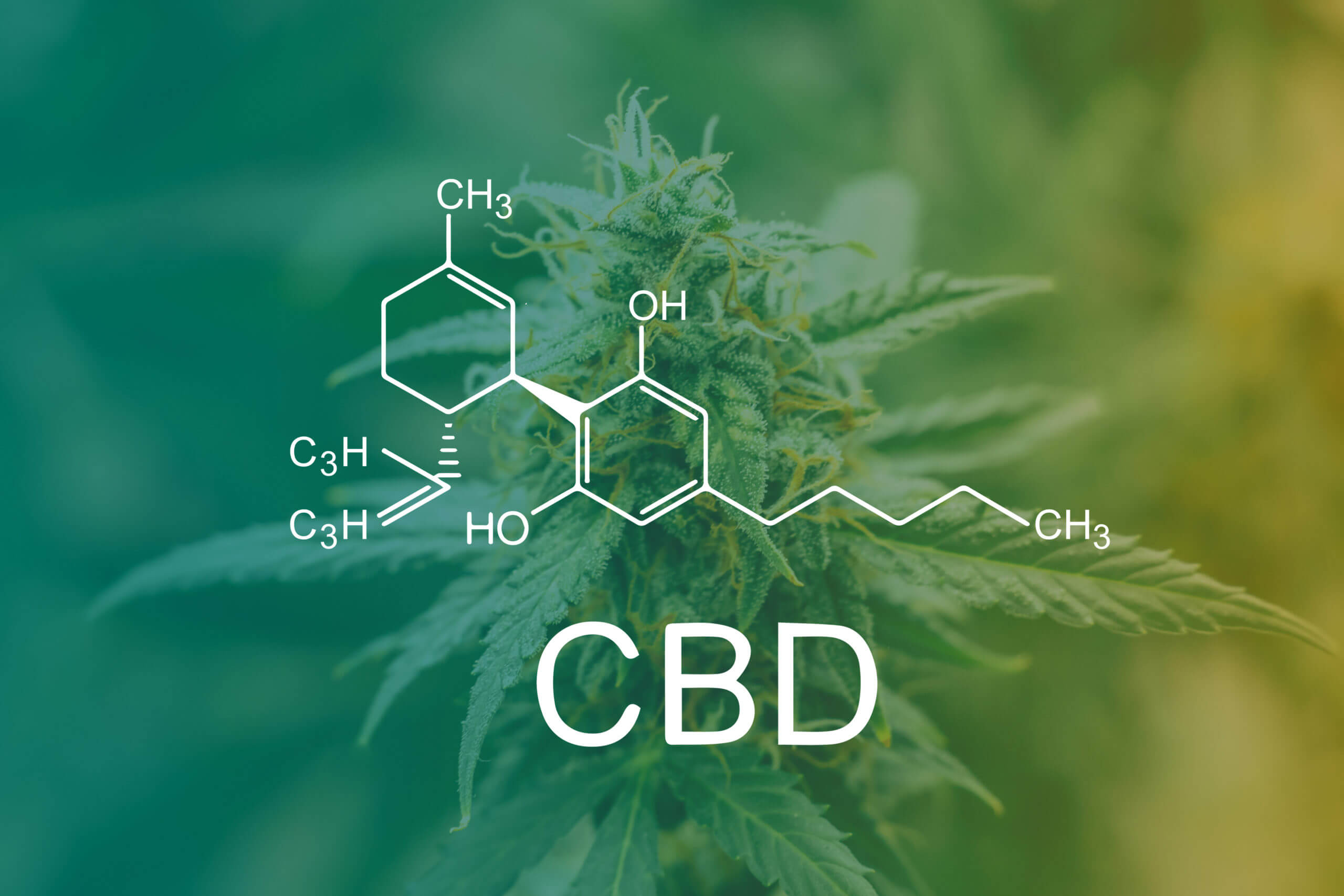 CBD Chemical Formula, marijuana cbd thc. Concepts of legalizing