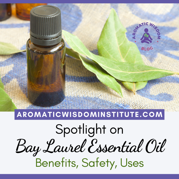Fragrant Friday Bay Laurel/Laurel Leaf Essential Oil Profile Spotlight