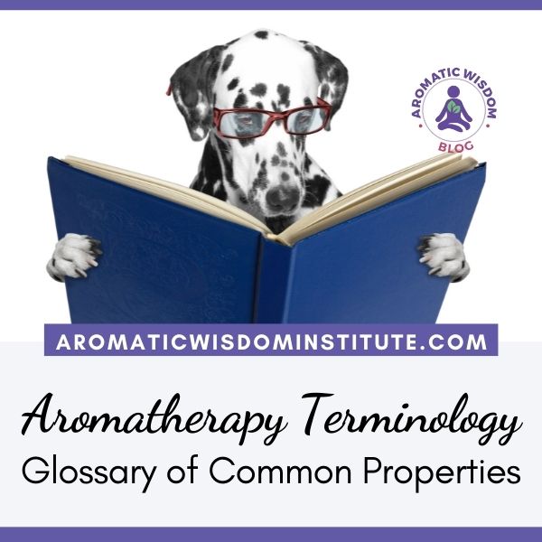 Glossary of the Most Common Essential Oil Properties and Aromatherapy