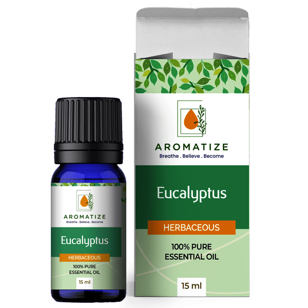 EUCALYPTUS Globulus (15ml) AROMATIZE