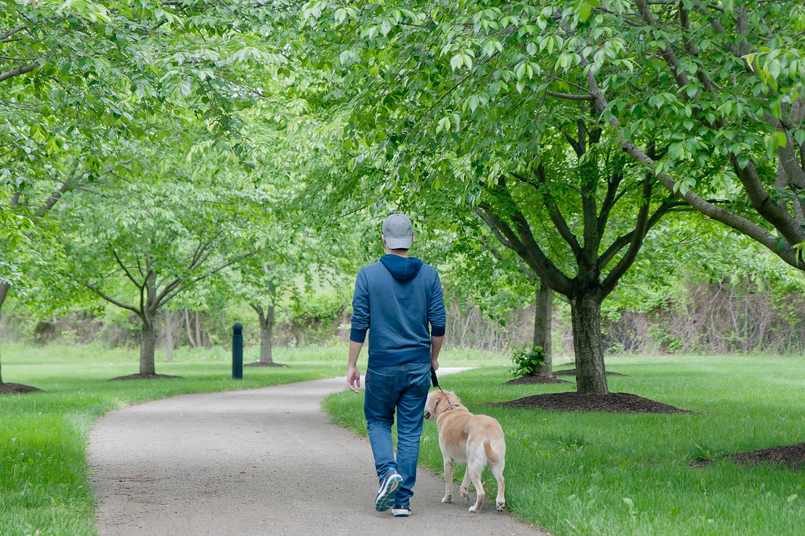 Ambler Dog Parks & Trails Guide Around Ambler