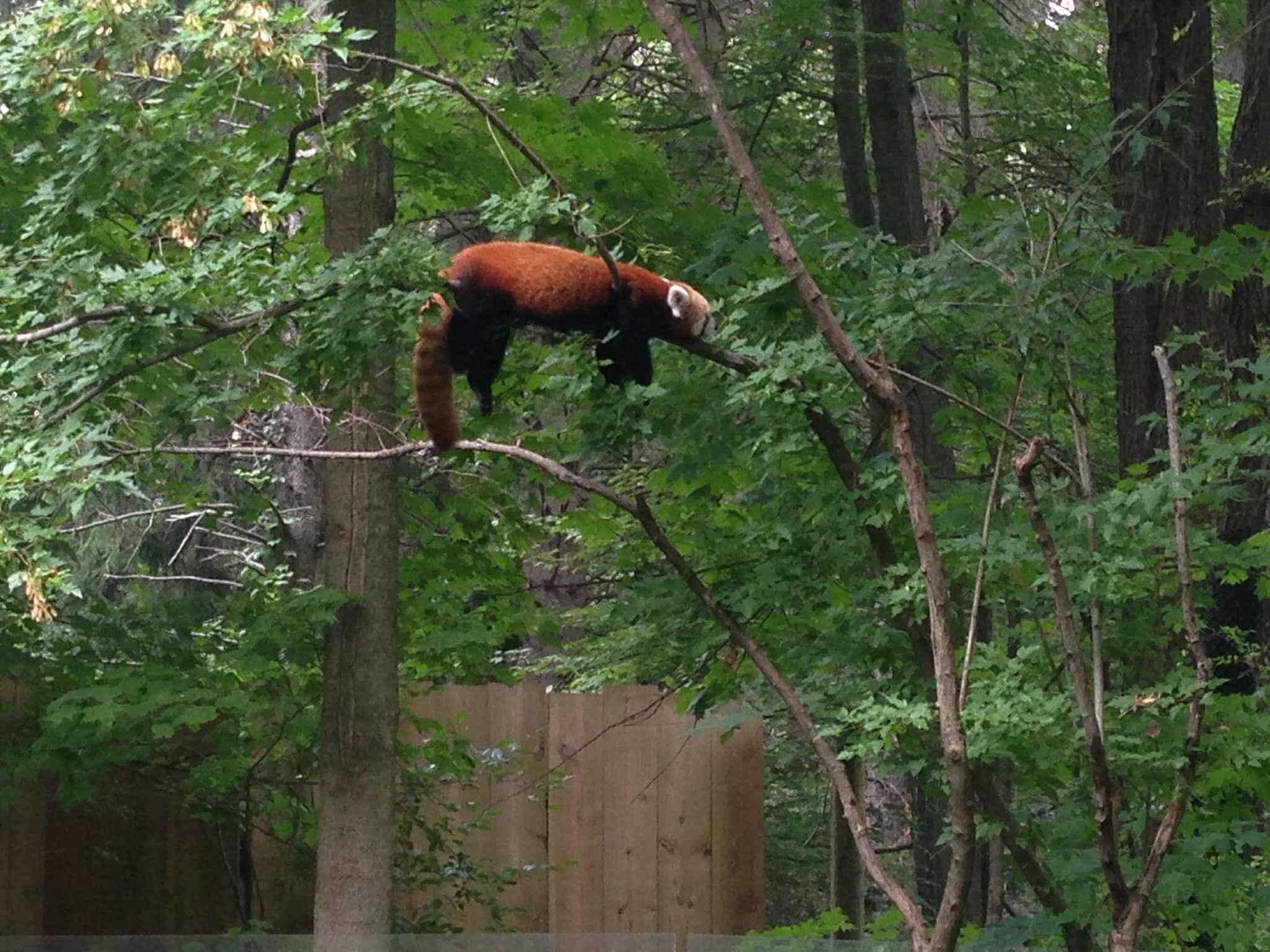 All About Michigan’s Zoos Around Michigan