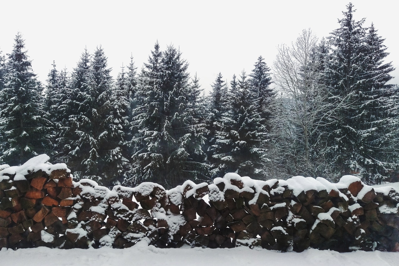 Michigan Christmas Tree Farms Around Michigan