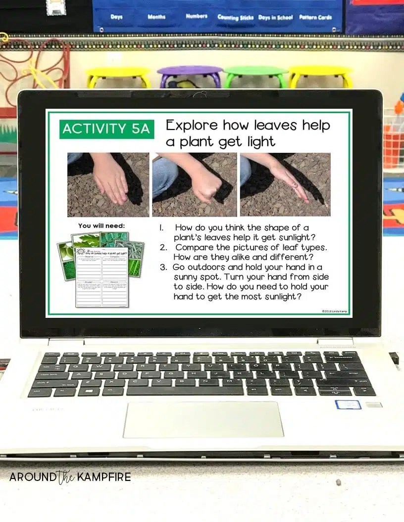 Plant Needs Science ActivityHow Do Leaves Help Plants Get Sunlight