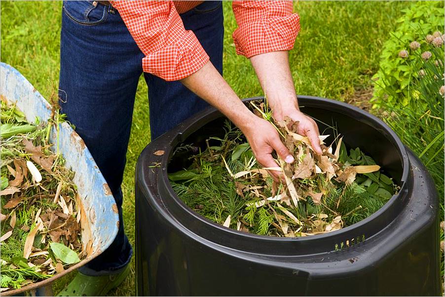 Cómo hacer abono orgánico o compost en casa en pocos pasos Arpasa