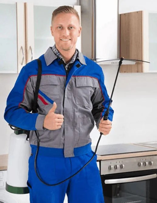 Pest Control Mississauga Best Pest Exterminator AR PEST