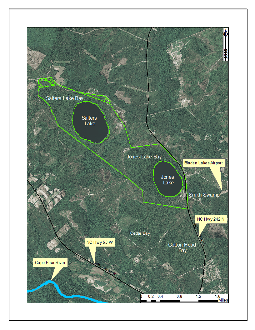 Guide to the littoral zone vascular flora of Carolina bay lakes (U.S.A.)