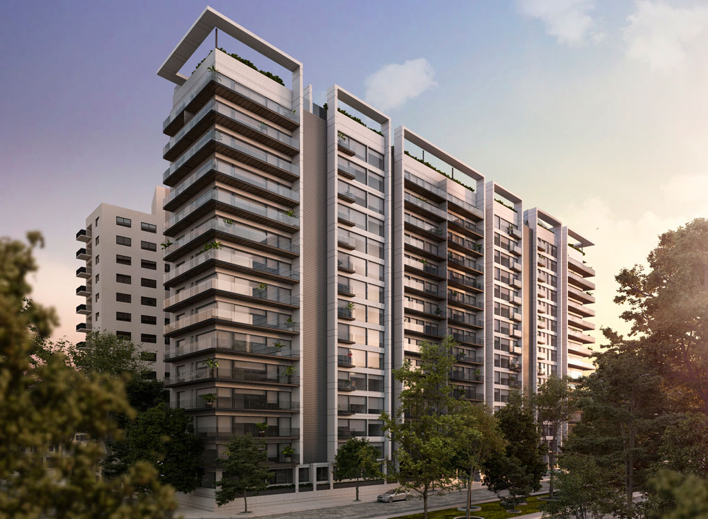 Proyectos en Proceso