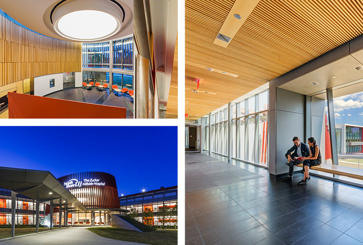 Zucker Hillside Replacement Hospital Array Architects