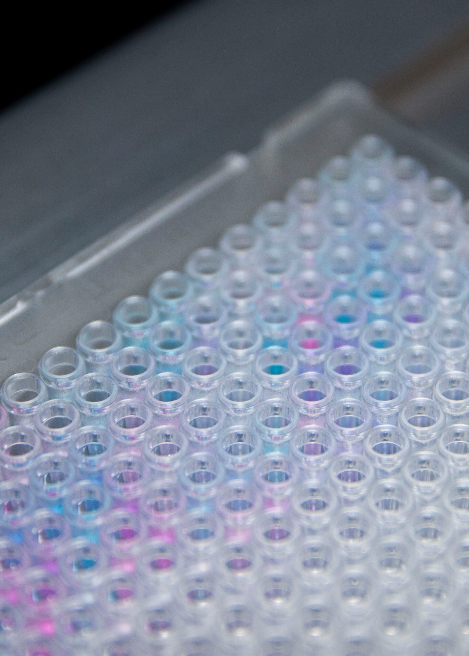 Small Molecule Microarray Compound Library Screening