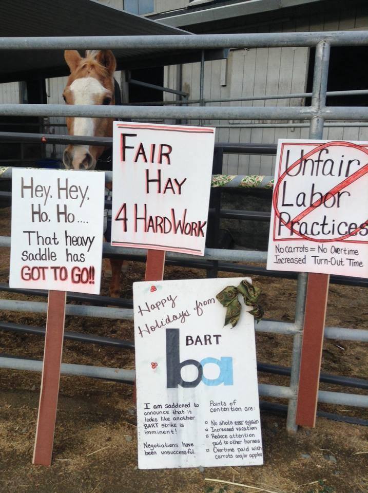 In Memoriam Bart Godfrey Arriba Vista Ranch