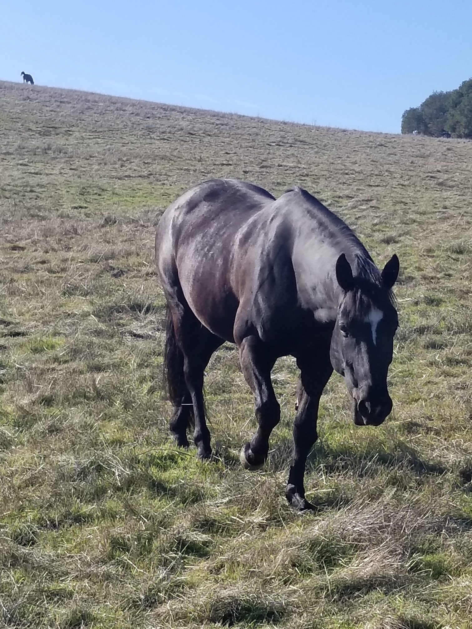 Best of 2020 Photos at Arriba Vista Arriba Vista Ranch