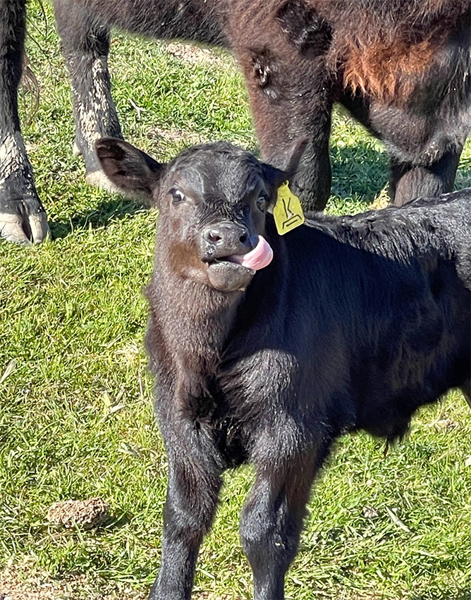 Arriba Vista Ranch Favorite Photos Arriba Vista Ranch