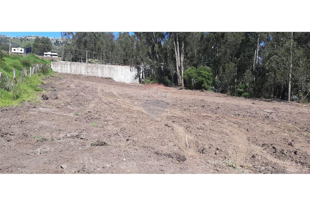 TERRENO EN VENTA EN CONOCOTO, QUITO, ECUADOR Arrienda y Vende