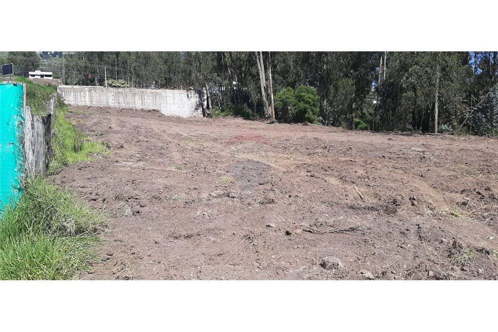 TERRENO EN VENTA EN CONOCOTO, QUITO, ECUADOR Arrienda y Vende