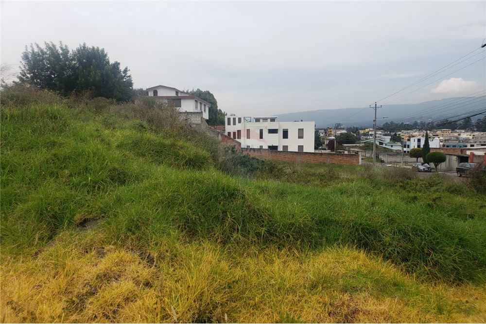 TERRENO EN VENTA SECTOR PUERTA DEL VALLE, QUITO, ECUADOR Arrienda y Vende
