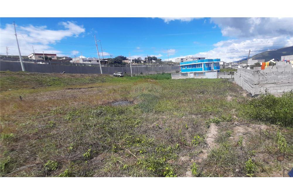 TERRENO EN VENTA N.5, IBARRA, ECUADOR Arrienda y Vende