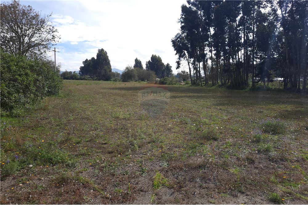 TERRENO EN VENTA SECTOR TANICUCHÍ, LATACUNGA, ECUADOR Arrienda y Vende