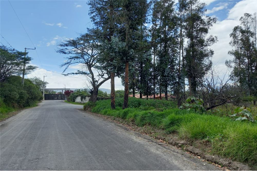 Terreno de venta en Puembo, Quito, Ecuador Arrienda y Vende
