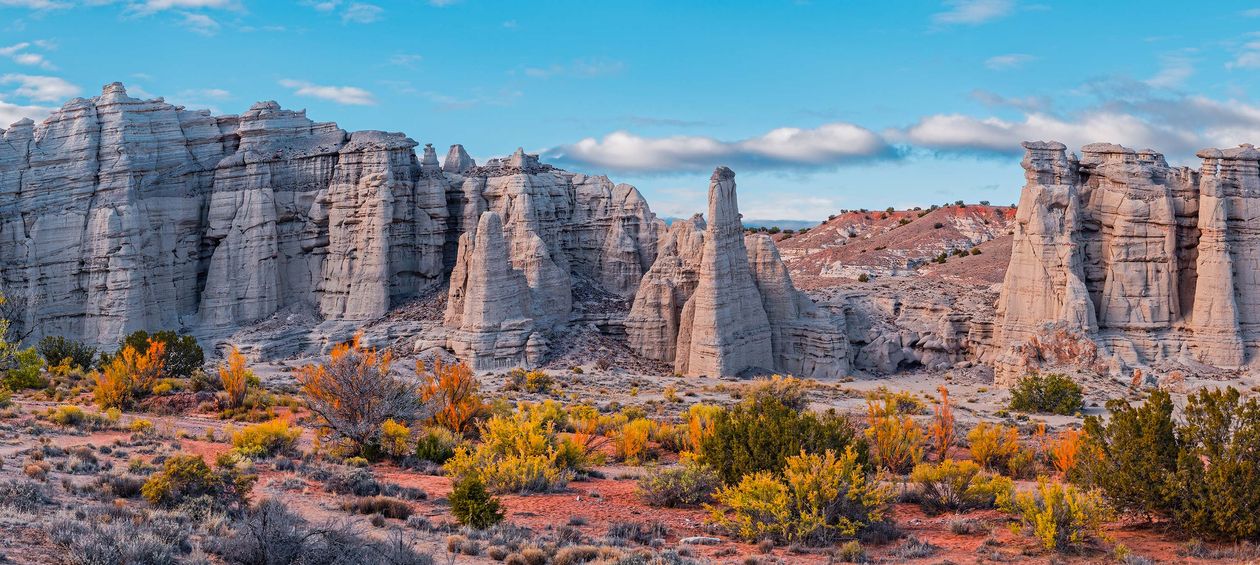 Hire the Best Salesforce Partner near New Mexico in March 2023 Arrify