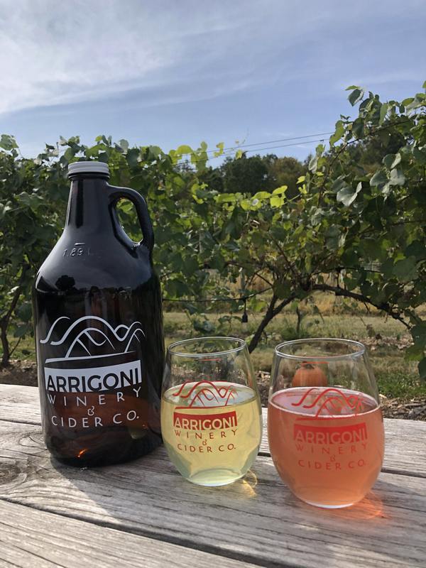 Easy Cider vs Wine Which is Best? 2023 AtOnce