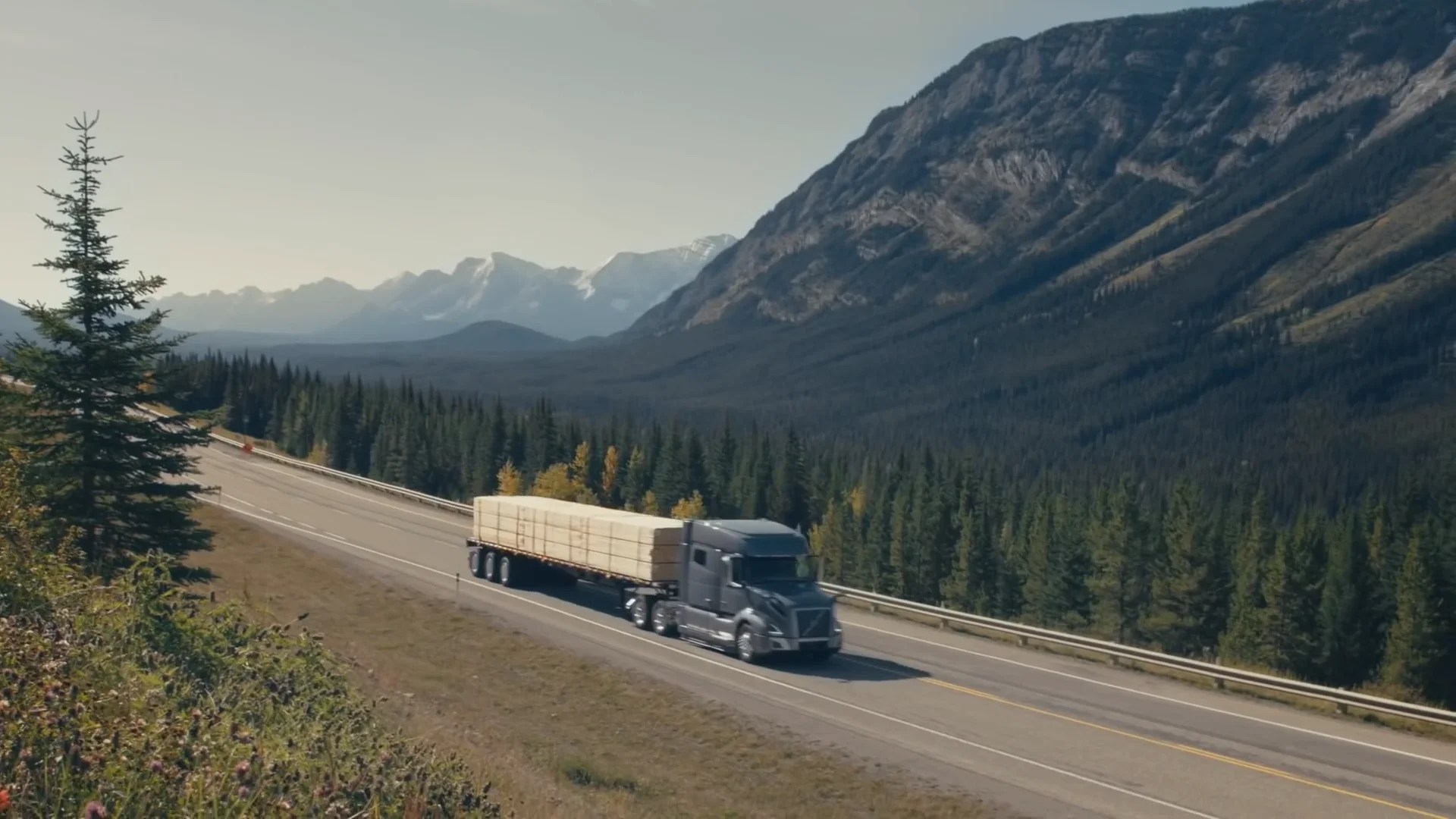 ADS Arrow Dispatch Services